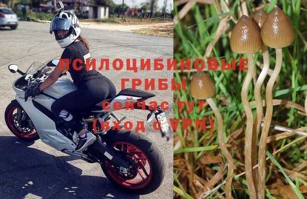 сатива Алексин